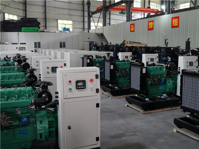 generator ricardo 
